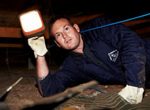 Ultra V pest control mandurah 